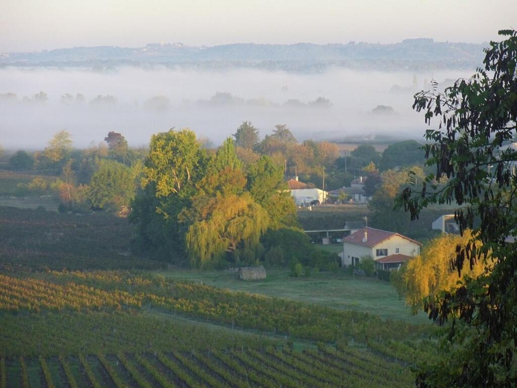 Romantic Gite Nr St Emilion With Private Pool And Views To Die For Pujols  Екстериор снимка