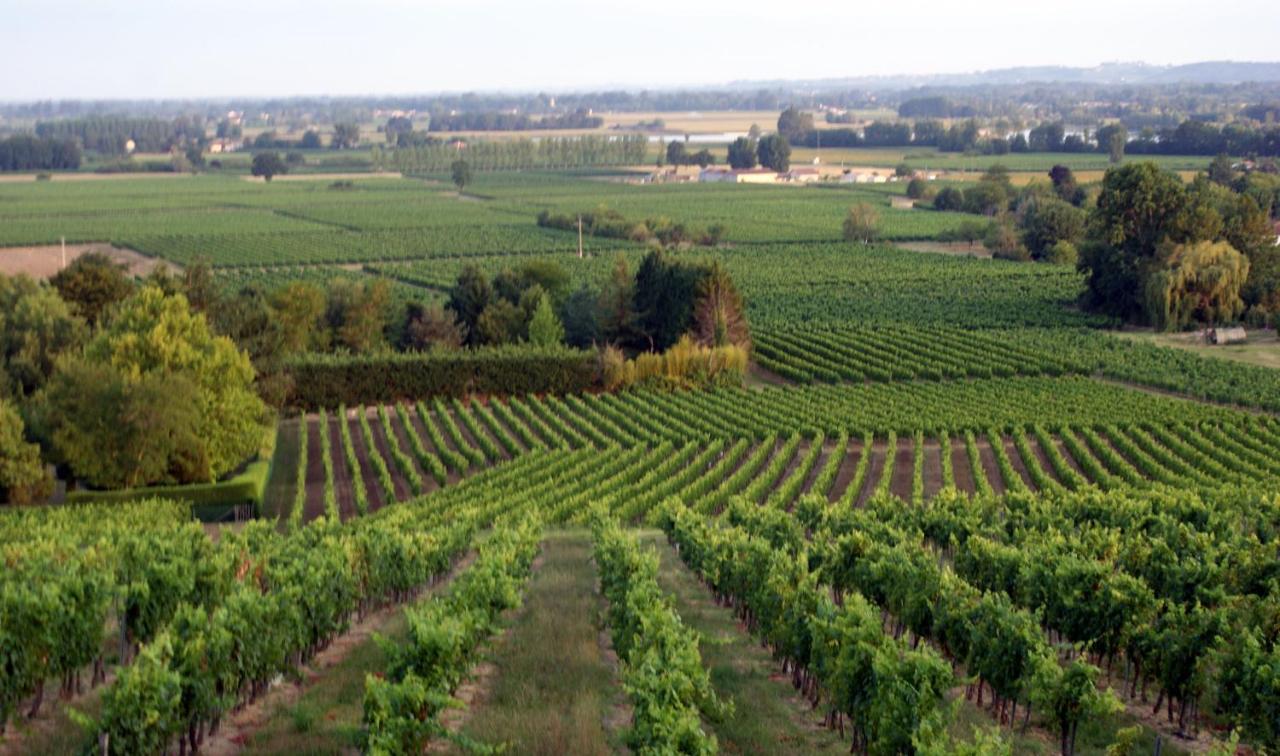 Romantic Gite Nr St Emilion With Private Pool And Views To Die For Pujols  Екстериор снимка